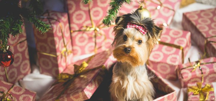 4 Powerful Ways to Use an Online Advent Calendar