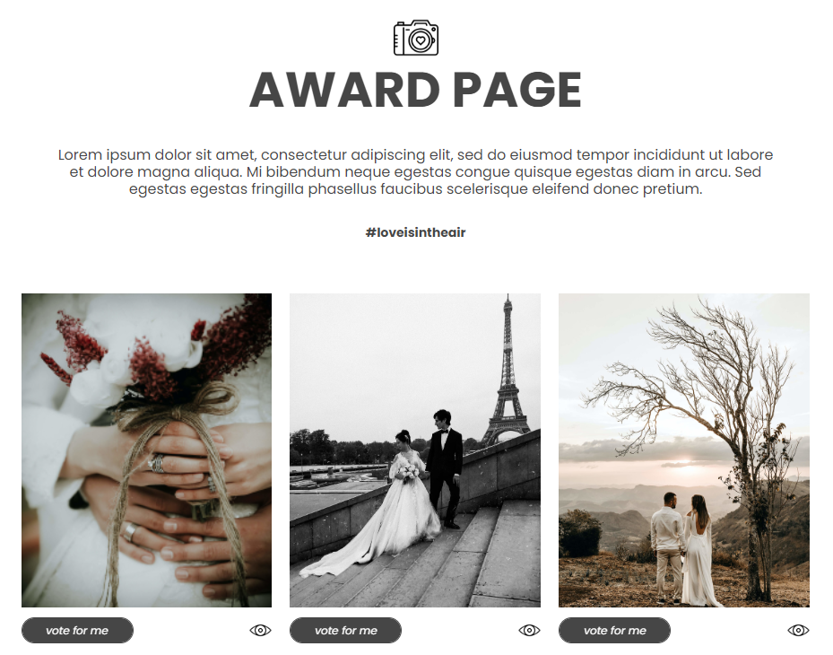 Example of Interactive Experiences for Fashion Marketing Campaigns: User-Generated Content contest
