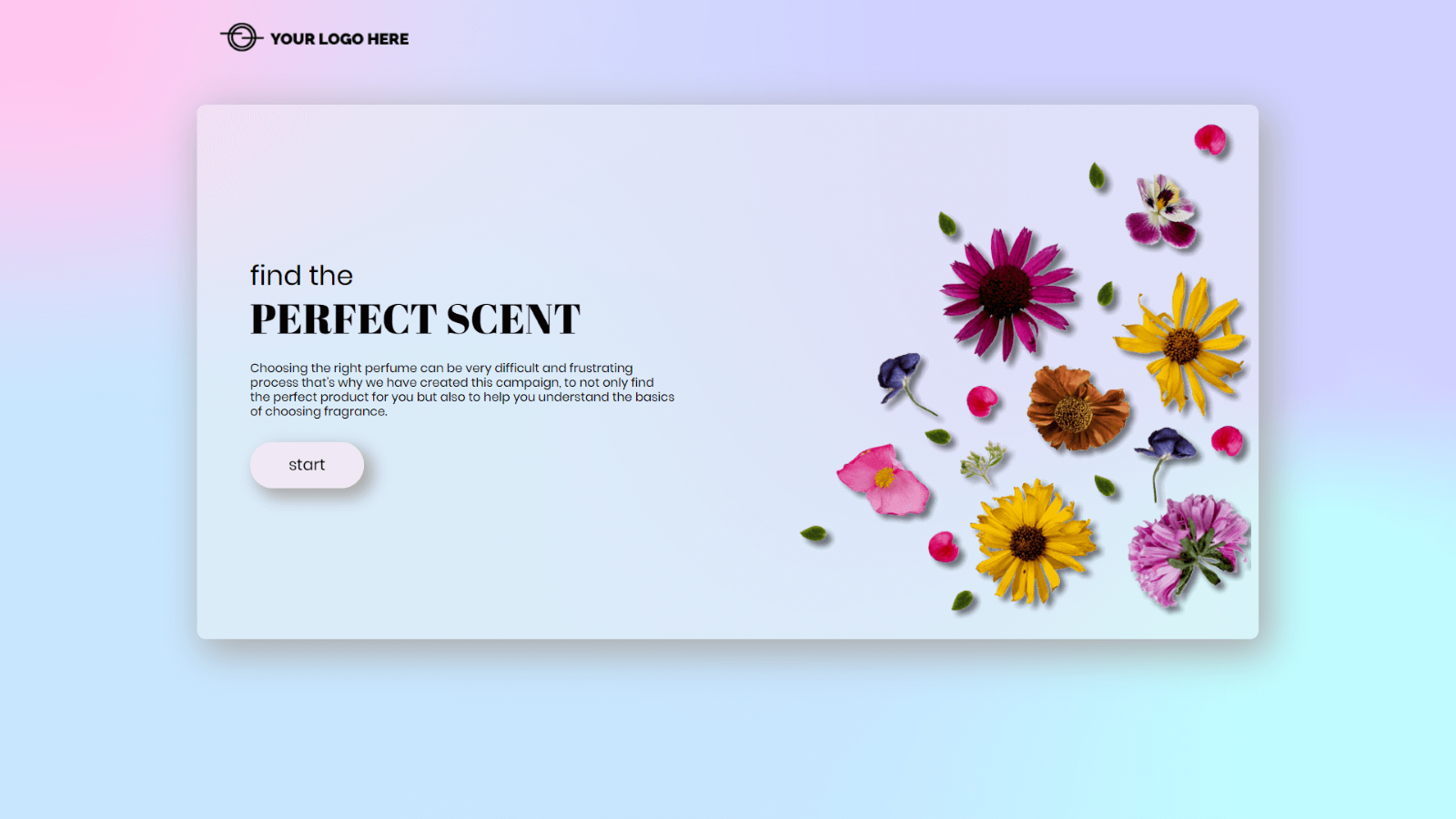 Gift Finder template by Dot.vu