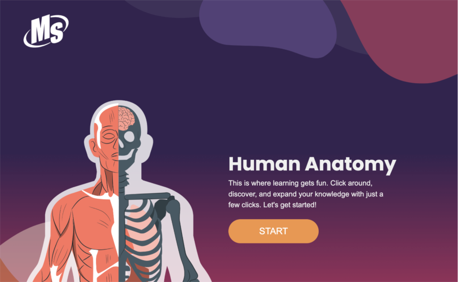 Interactive Infographic